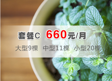 南昌綠植租擺公司